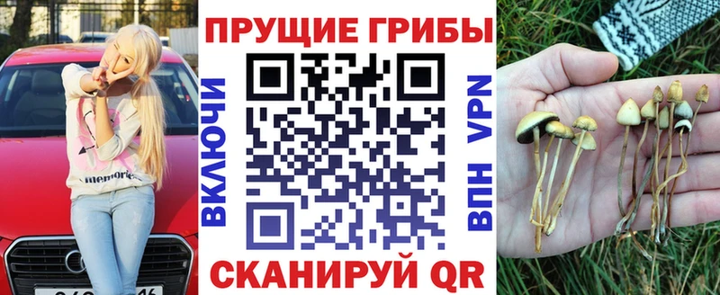 гидра рабочий сайт  наркота  Кузнецк  Псилоцибиновые грибы Psilocybe 
