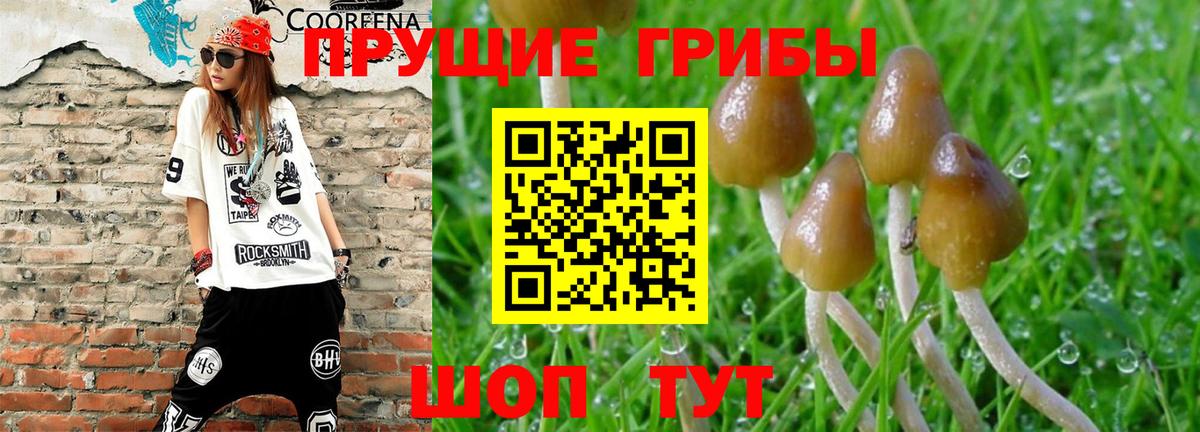 Галлюциногенные грибы Magic Shrooms Кузнецк