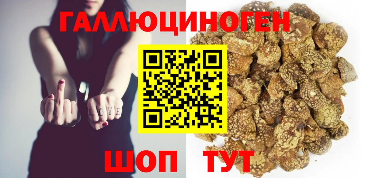Псилоцибиновые грибы GOLDEN TEACHER Кузнецк
