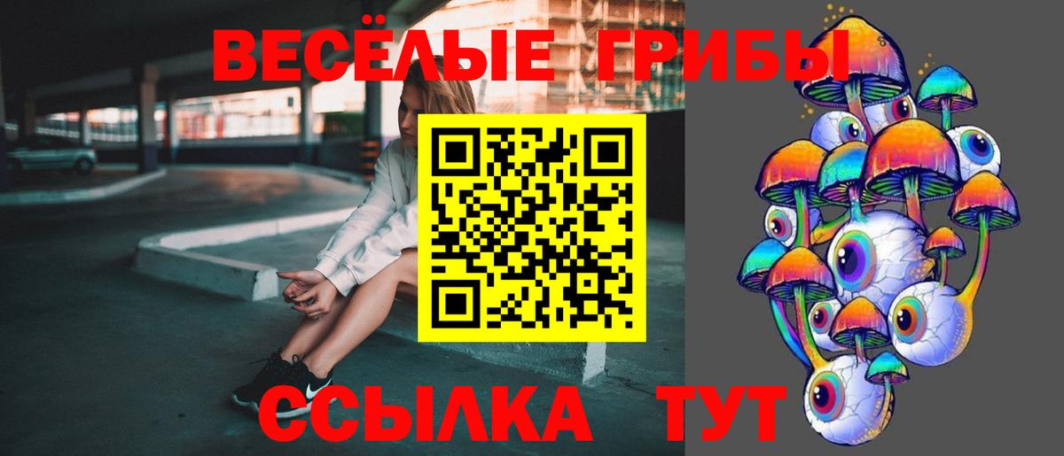 магазин    Галлюциногенные грибы мухоморы  Кузнецк  Вход с VPN  Псилоцибиновые грибы прущие грибы 